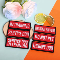 Pistha therapy dog patches for calm, labeled gear.