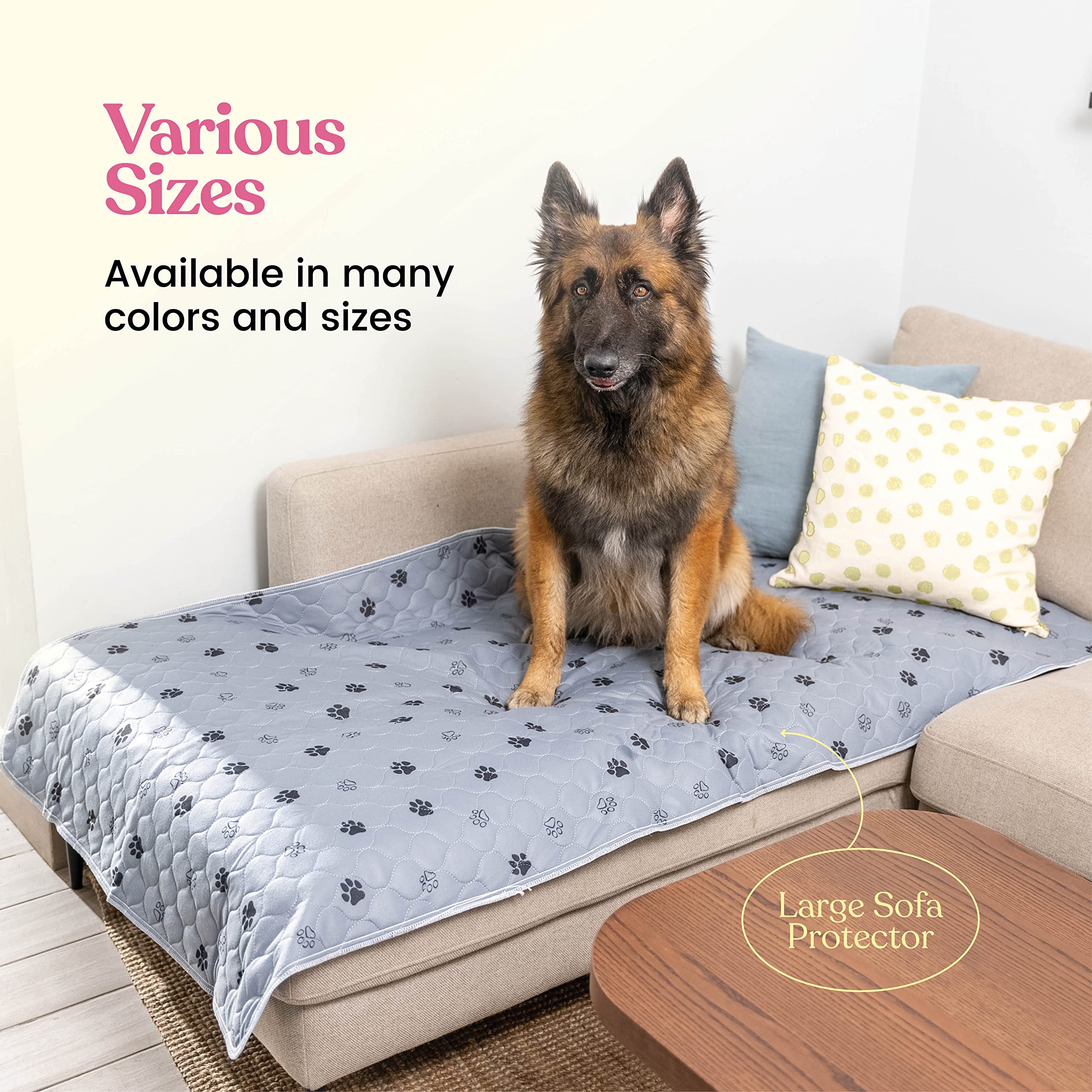 Pitpet dog training pad in action during house training