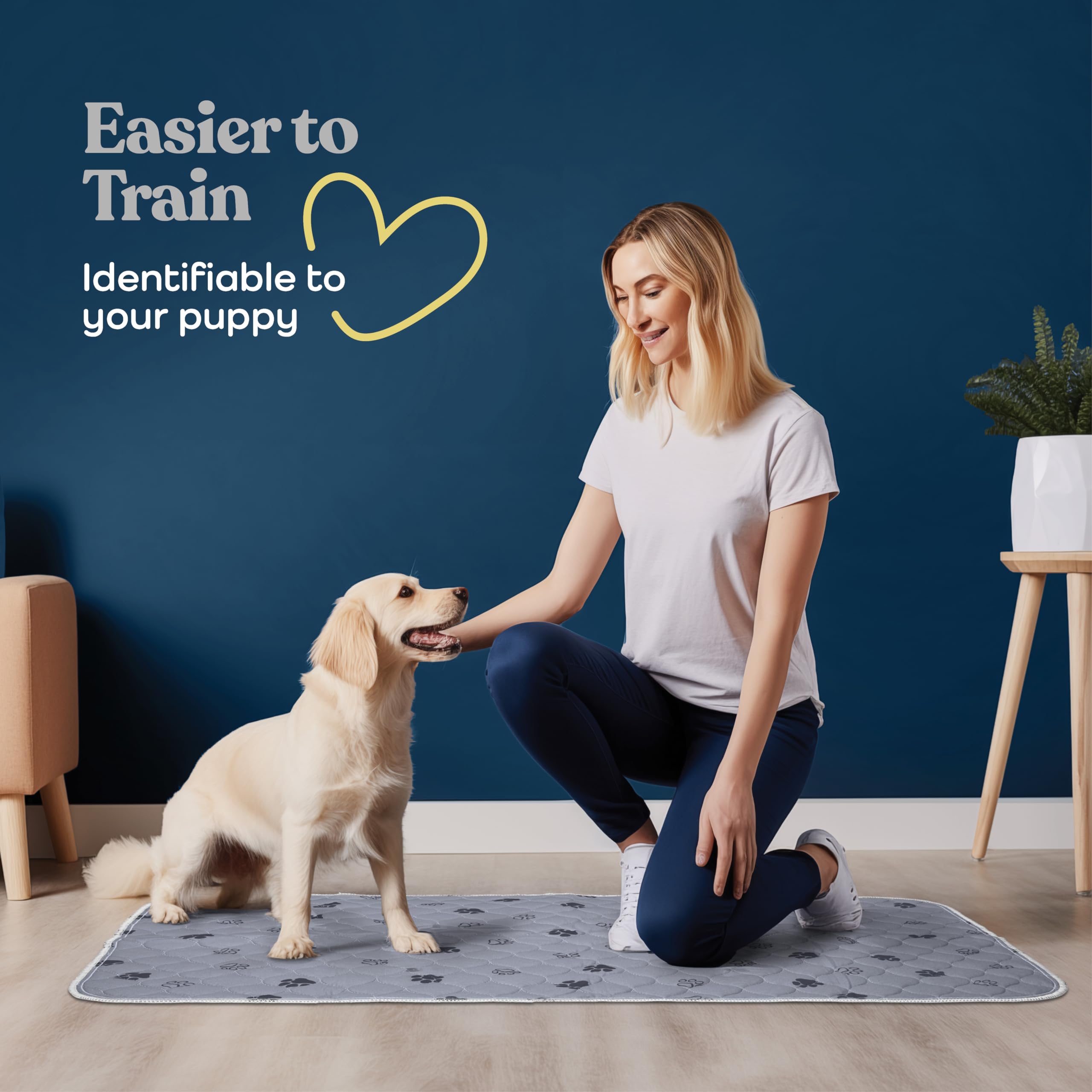 Pitpet flash-dry technology keeps pads dry and odors controlled