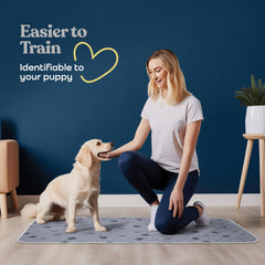 Pitpet flash-dry technology keeps pads dry and odors controlled