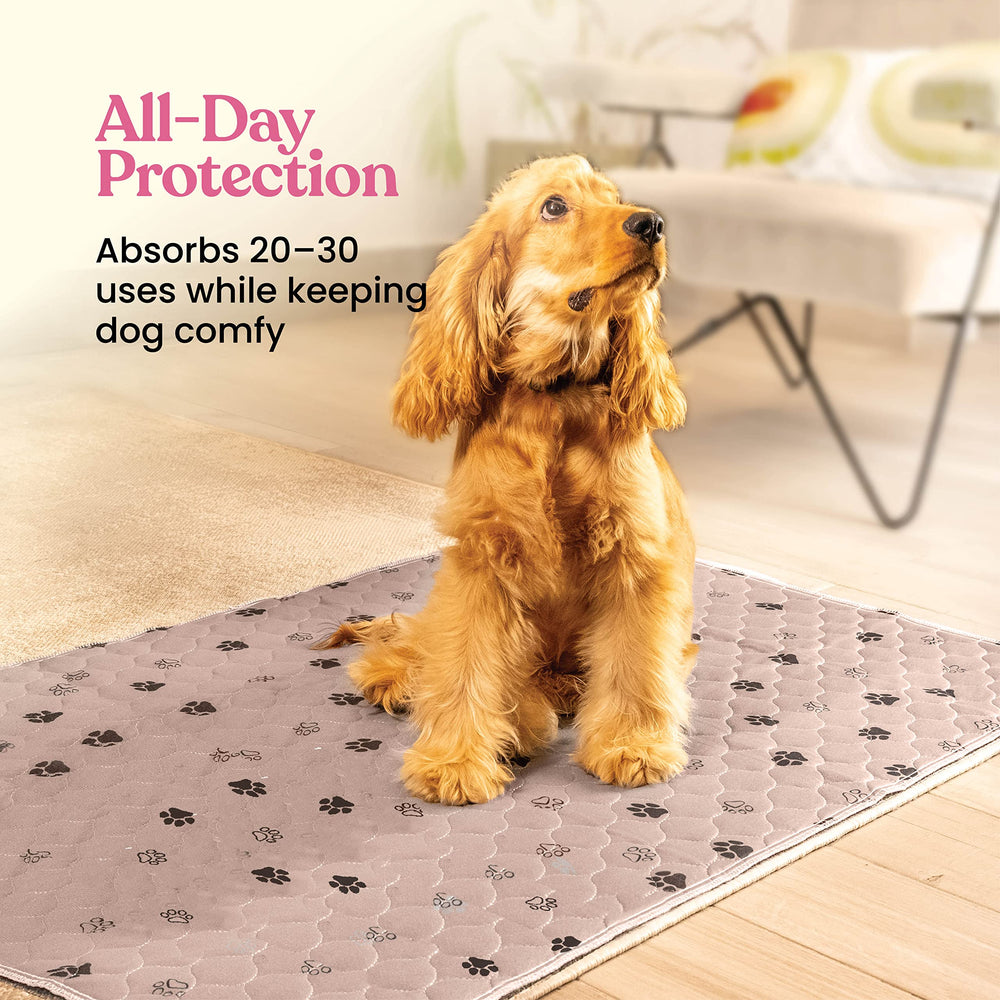 Pitpet four-layer construction with soft outer layer for comfortable use.