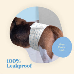 PitPet diaper seal with leakproof barriers around edges during active play.