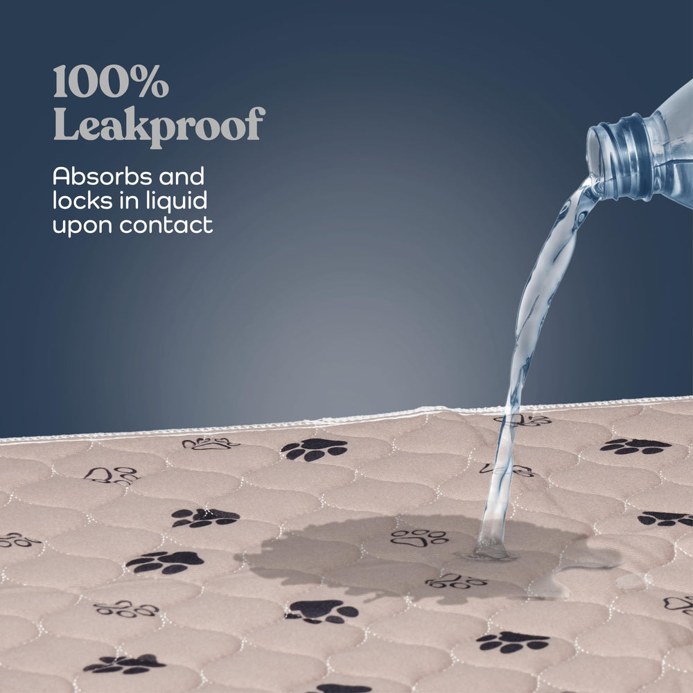 Pitpet non-slip-bottom pee pad shows secure placement during active dogs.