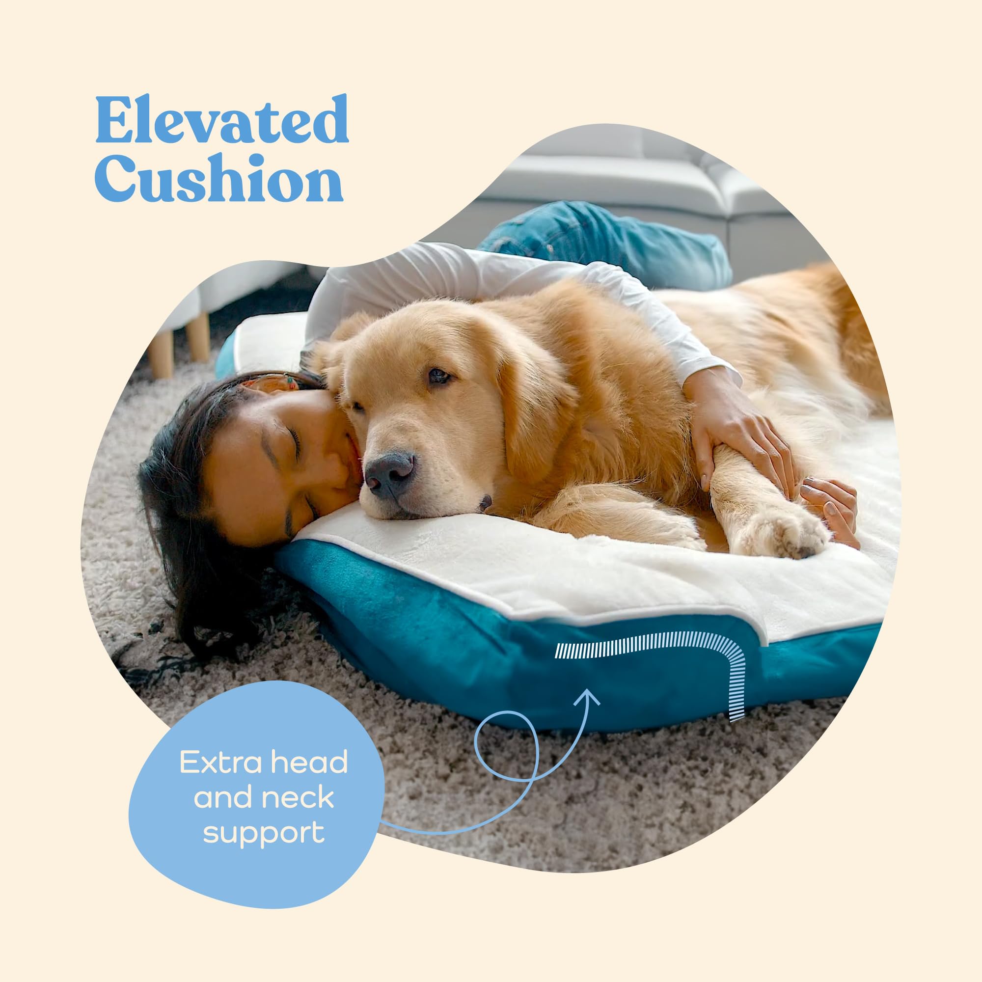 Pitpet orthopedic sofa dog bed cover removable shows easy machine washable care