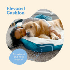 Pitpet orthopedic sofa dog bed cover removable shows easy machine washable care