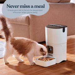 Pitpet Smart Automatic Cat Feeder 6-liter storage emphasizes large capacity for daily meals