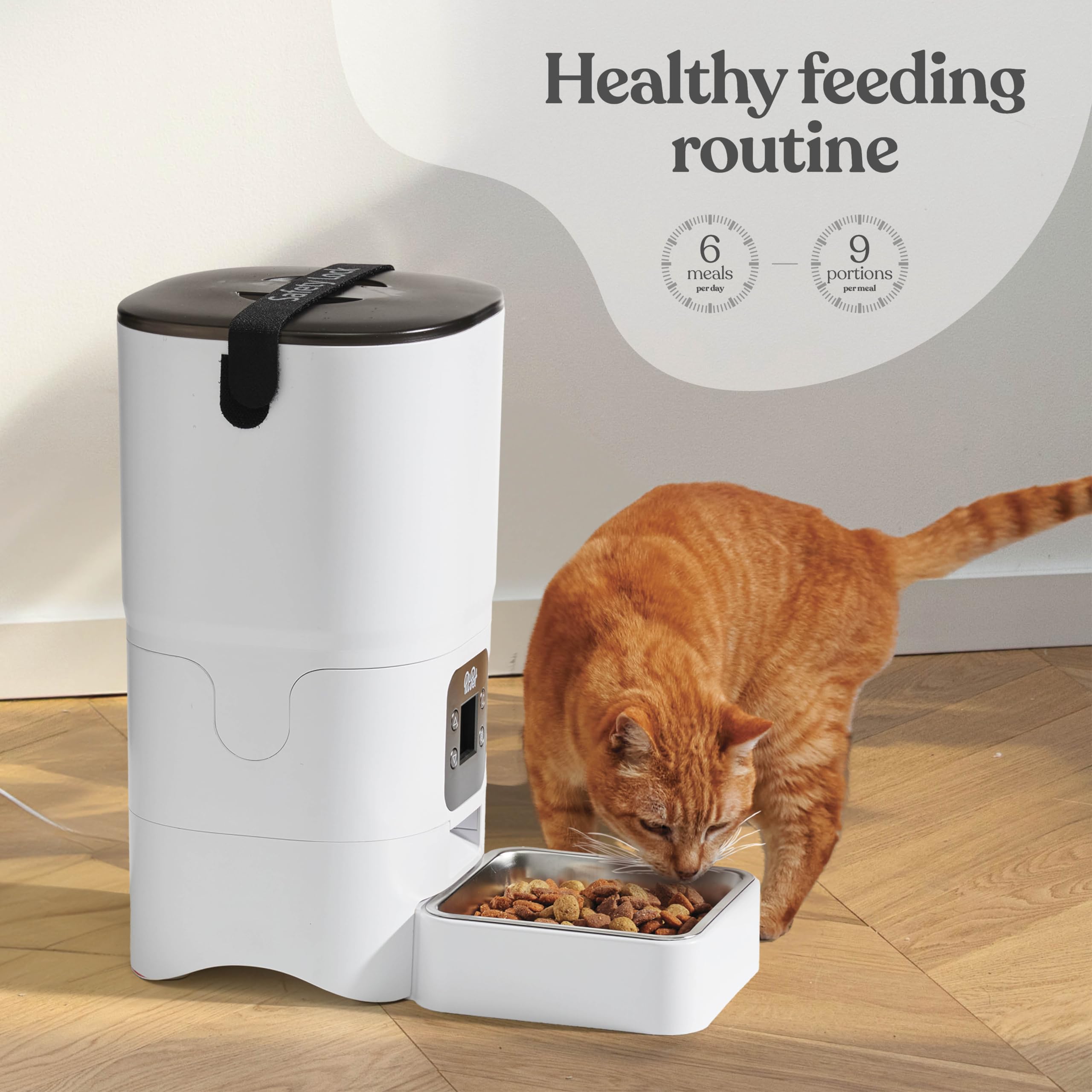 Pitpet Smart Automatic Cat Feeder locking top design prevents tipping and paw access