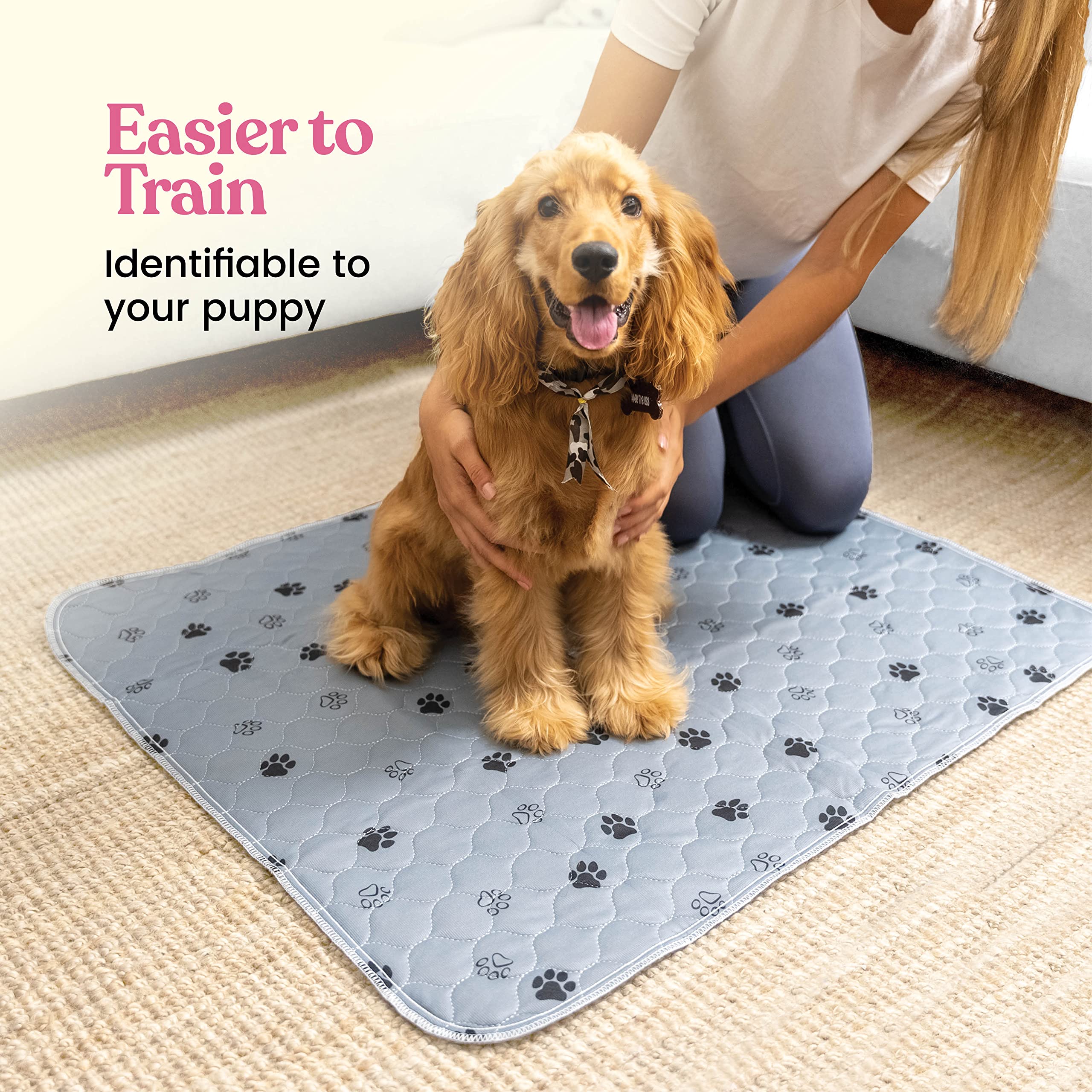Pitpet top-view pee pad highlights soft outer layer ideal for gentle paw contact.