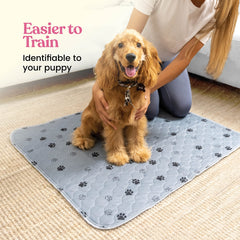 Pitpet top-view pee pad highlights soft outer layer ideal for gentle paw contact.
