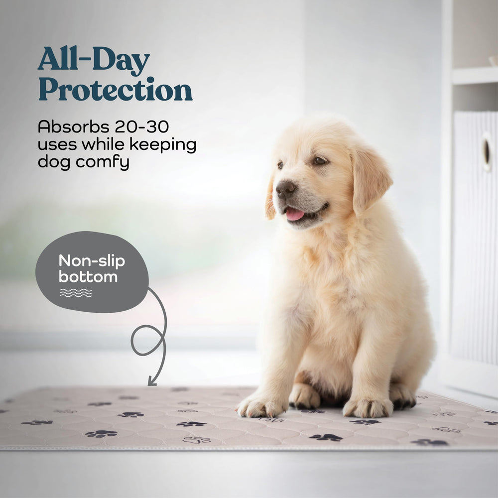 Pitpet waterproof-bottom pee pad emphasizes leak protection on floors and furniture.