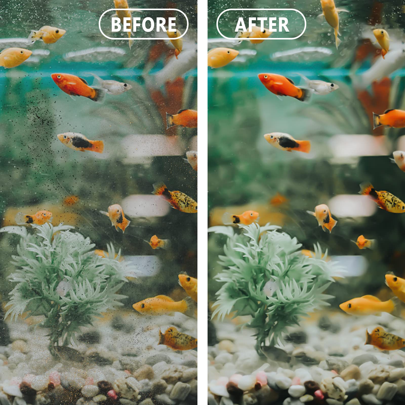 Piwerod EZ-Change 2 maintenance tips help keep filtration steady