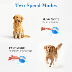PJC Interactive Dog Toy indoor-friendly design suits hardwood, tile, and carpet play.