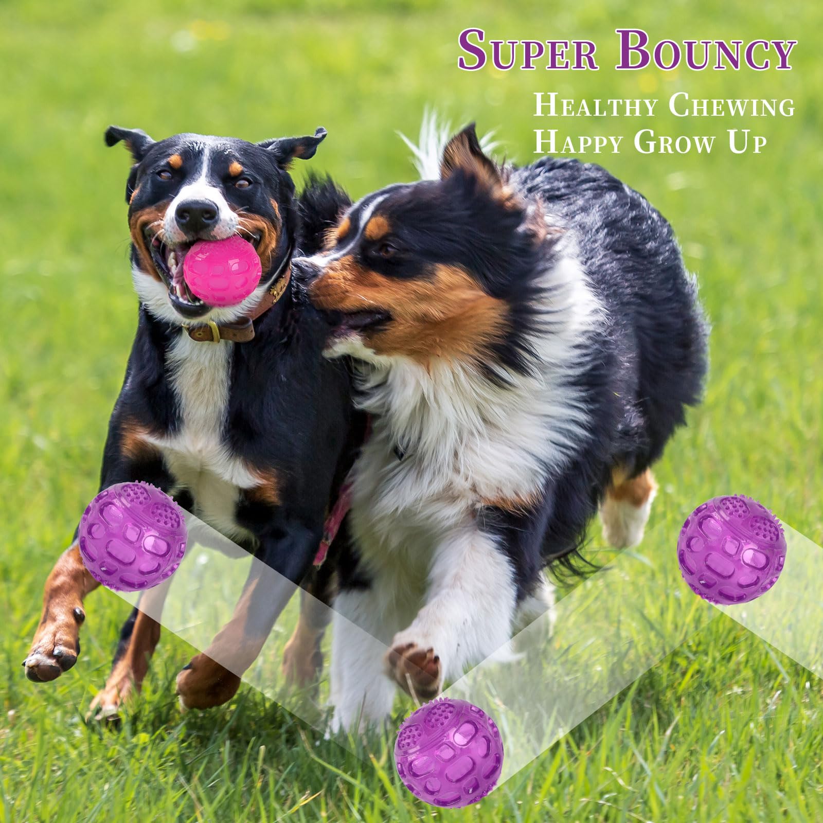 PJDH 3in squeaky dog ball textured surface aids dental-friendly chewing