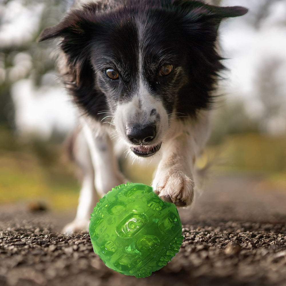 PJDH texture-surface 3in dog ball highlights dental-friendly design for chewing.