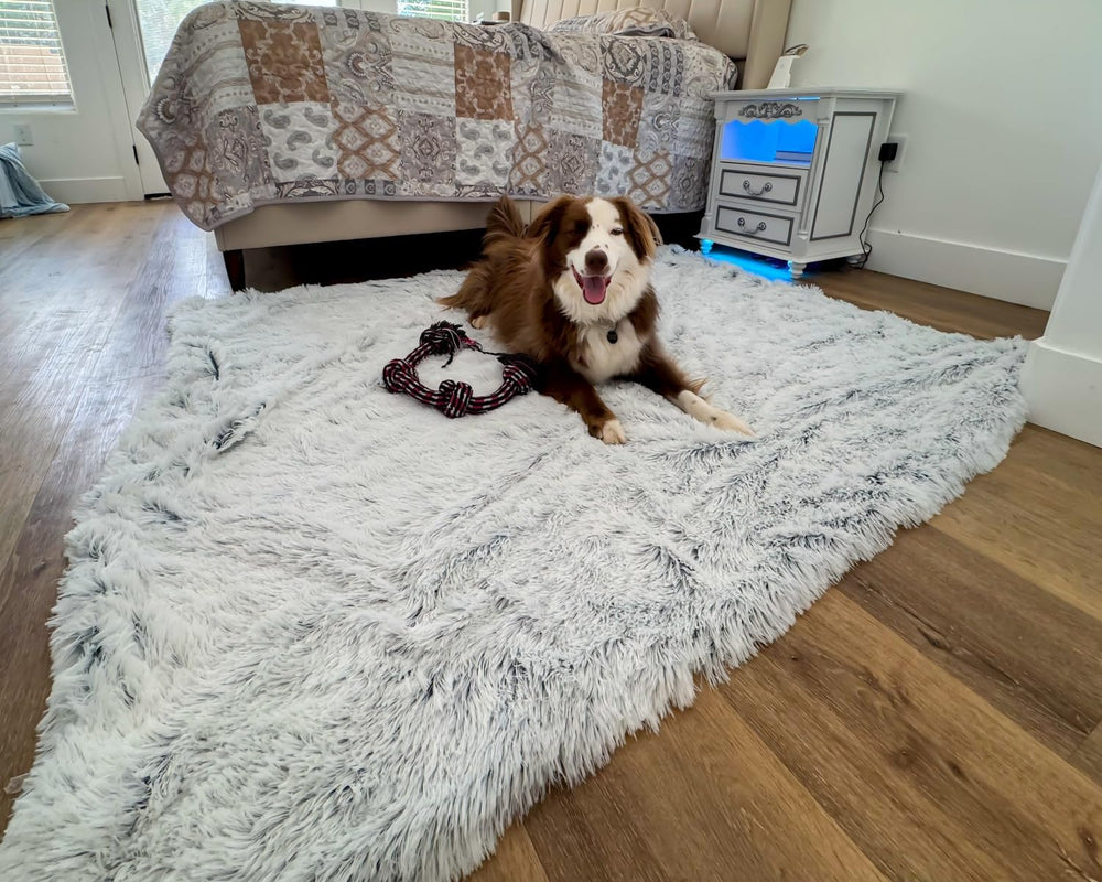 PJYuCien dog blanket travel-friendly size fits car trips and daily lounging.