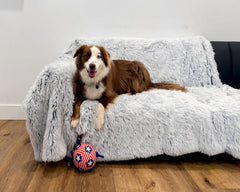 PJYuCien dog blanket in car seat demonstrates travel protection and versatility.