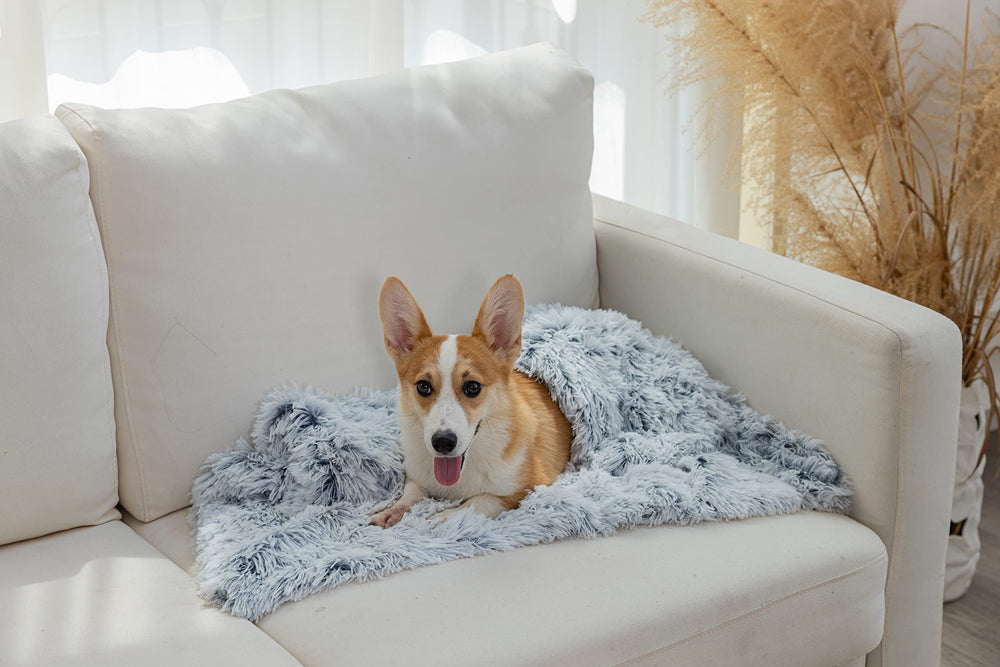 PJYuCien blanket close-up fur detail highlighting plush warmth for small pets