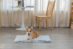 PJYuCien pet blanket on bed gray for extra pet warmth and security