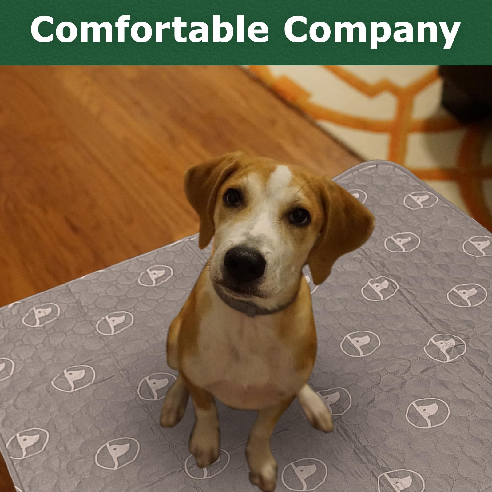 PJYuCien washable dog playpen mat furniture protection; guards furniture during training.