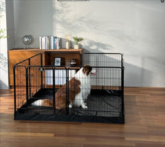 PJYuCien 8-panel playpen with 31.3-inch height offers safe containment for small pets