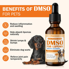 PKperekond DMSO for dogs application glove demonstrates safe patch testing and gentle use