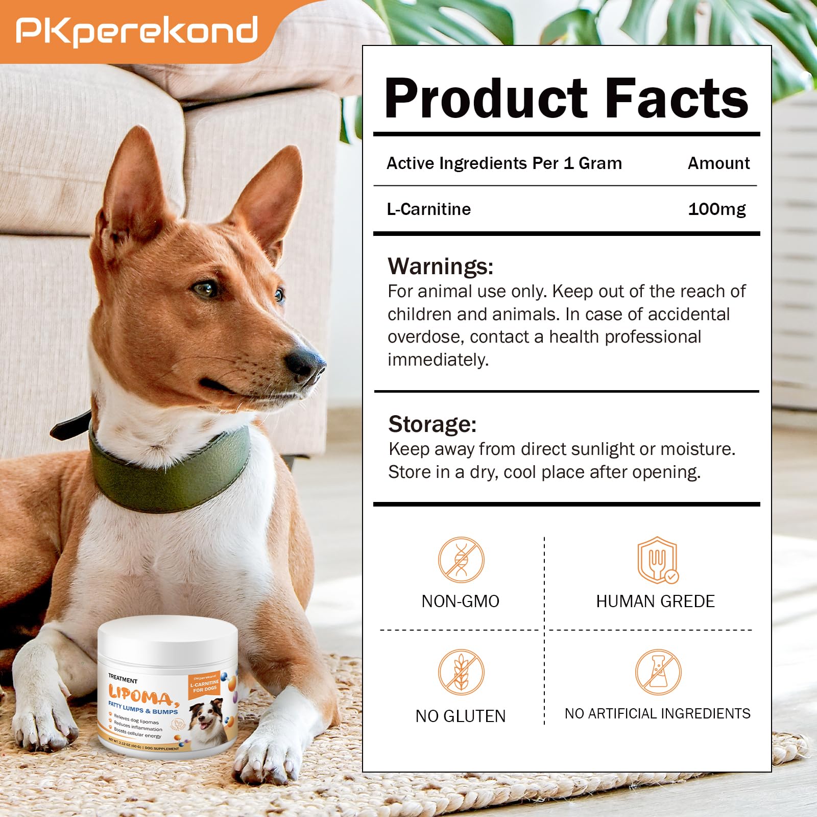 PKperekond dog activity in park captures an active lifestyle with supplement support.