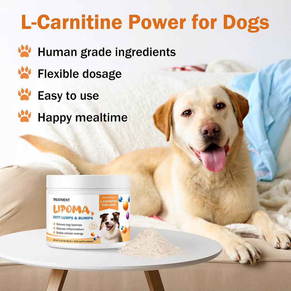 PKperekond dog energy and vitality in motion demonstrates potential for increased activity.