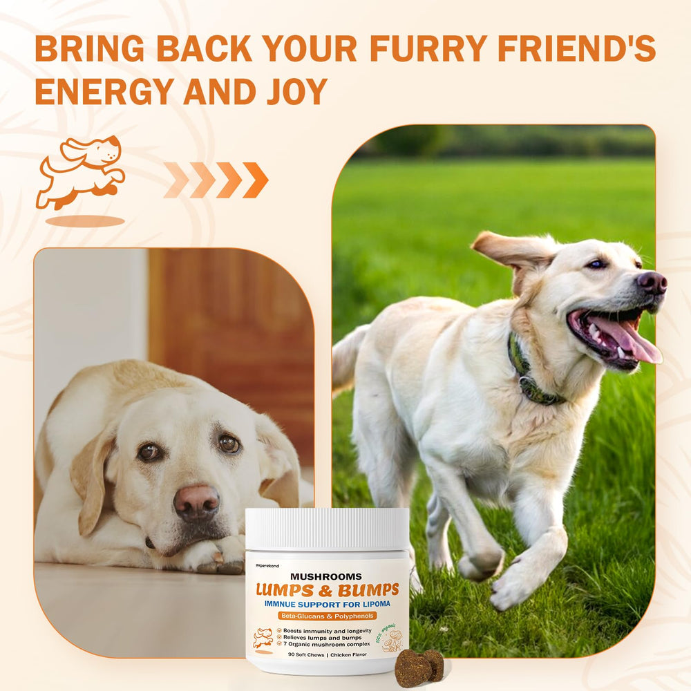 PKperekond human-grade vet-reviewed ingredients label — clear safety and quality.