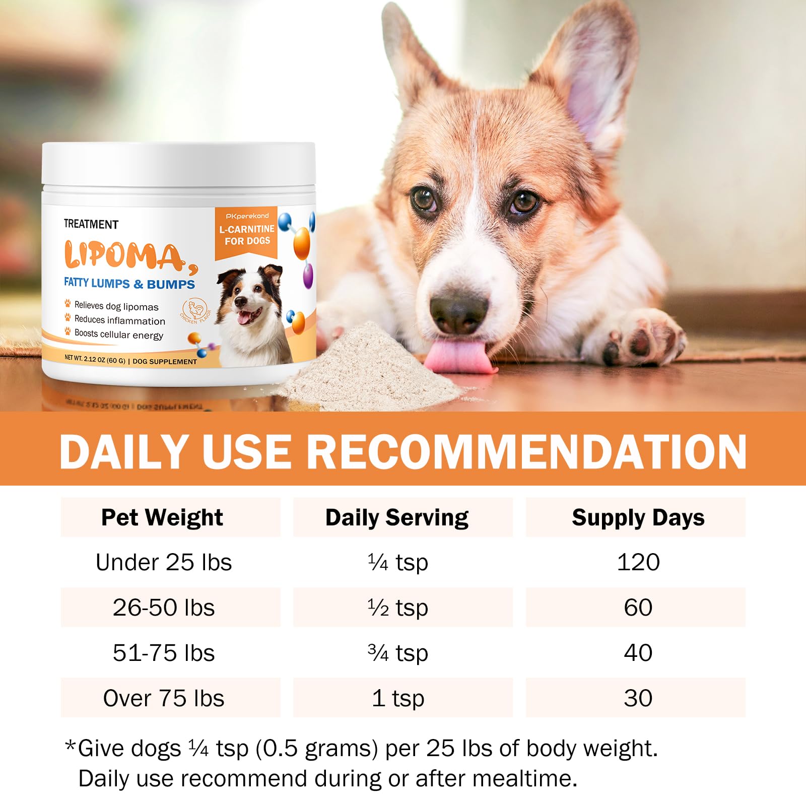 PKperekond lean muscle support dog image emphasizes balanced fat and mobility.