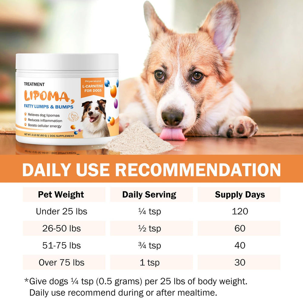 PKperekond lean muscle support dog image emphasizes balanced fat and mobility.
