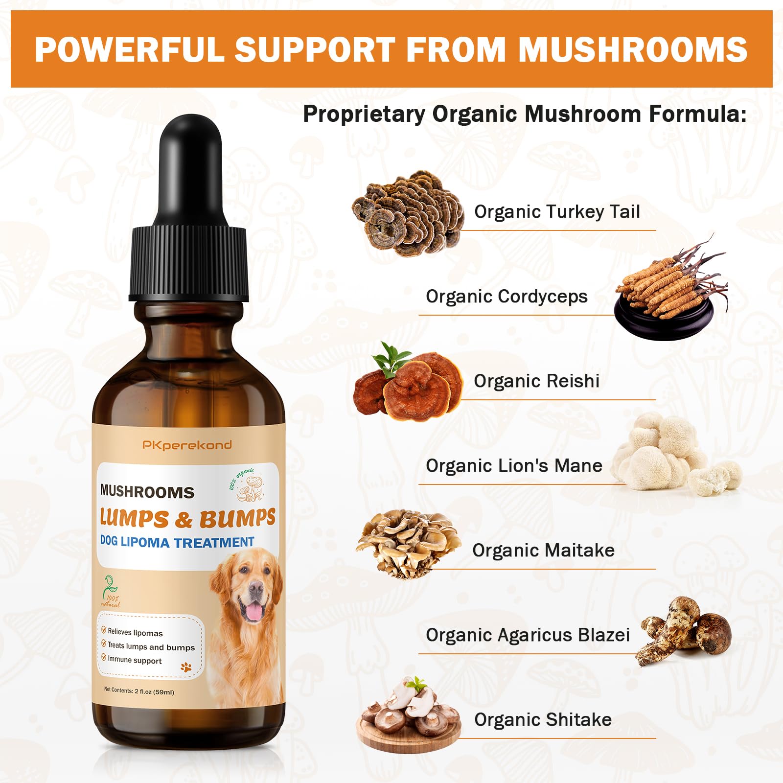 PKperekond reishi mushroom drops—calm energy for daily activity