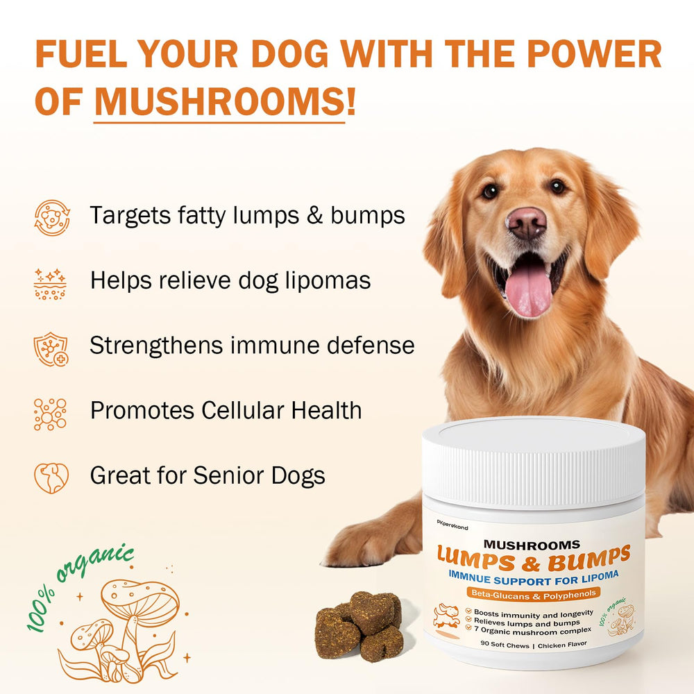 PKperekond seven-mushroom blend ingredients label — premium immuno-support with beta-glucans.