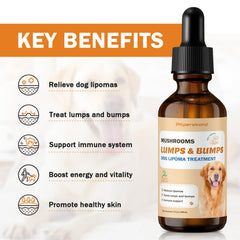 PKperekond turkey tail drops for dogs—natural immune support