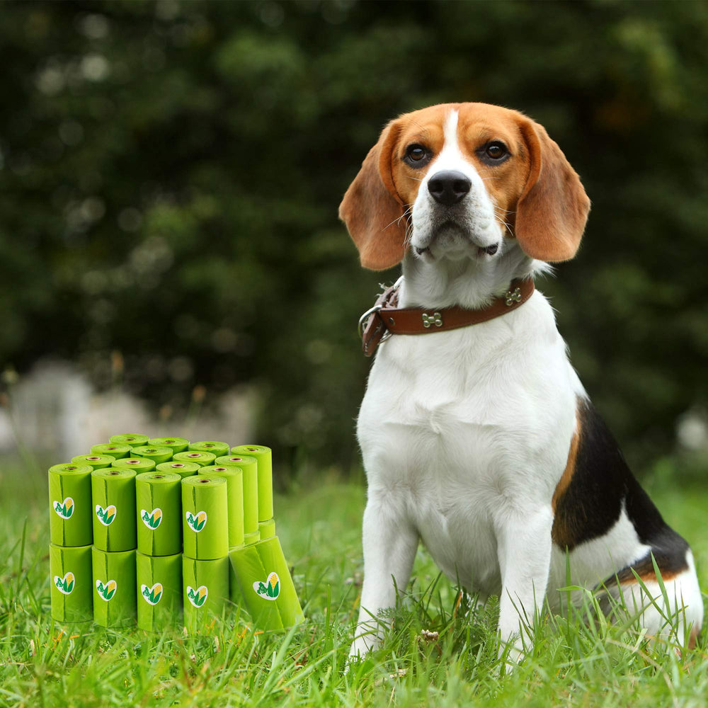 Pkpoo opción sostenible para manejo de residuos del hogar y mascotas.