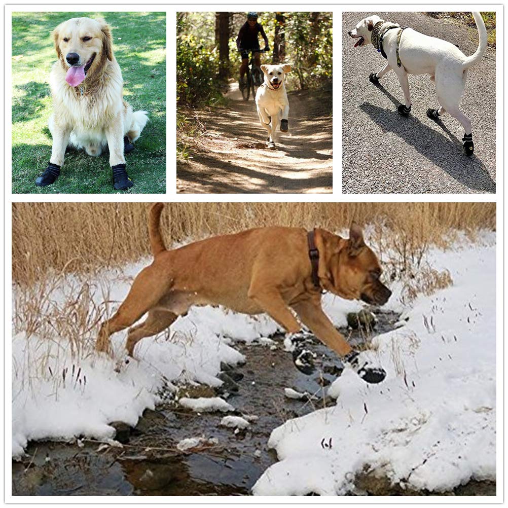 PK.ZTopia size guide helps find the right fit for different breeds.