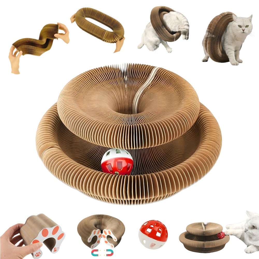 Planatex Kitty Curlz Magic Organ bell ball engages curiosity with sound-driven play.