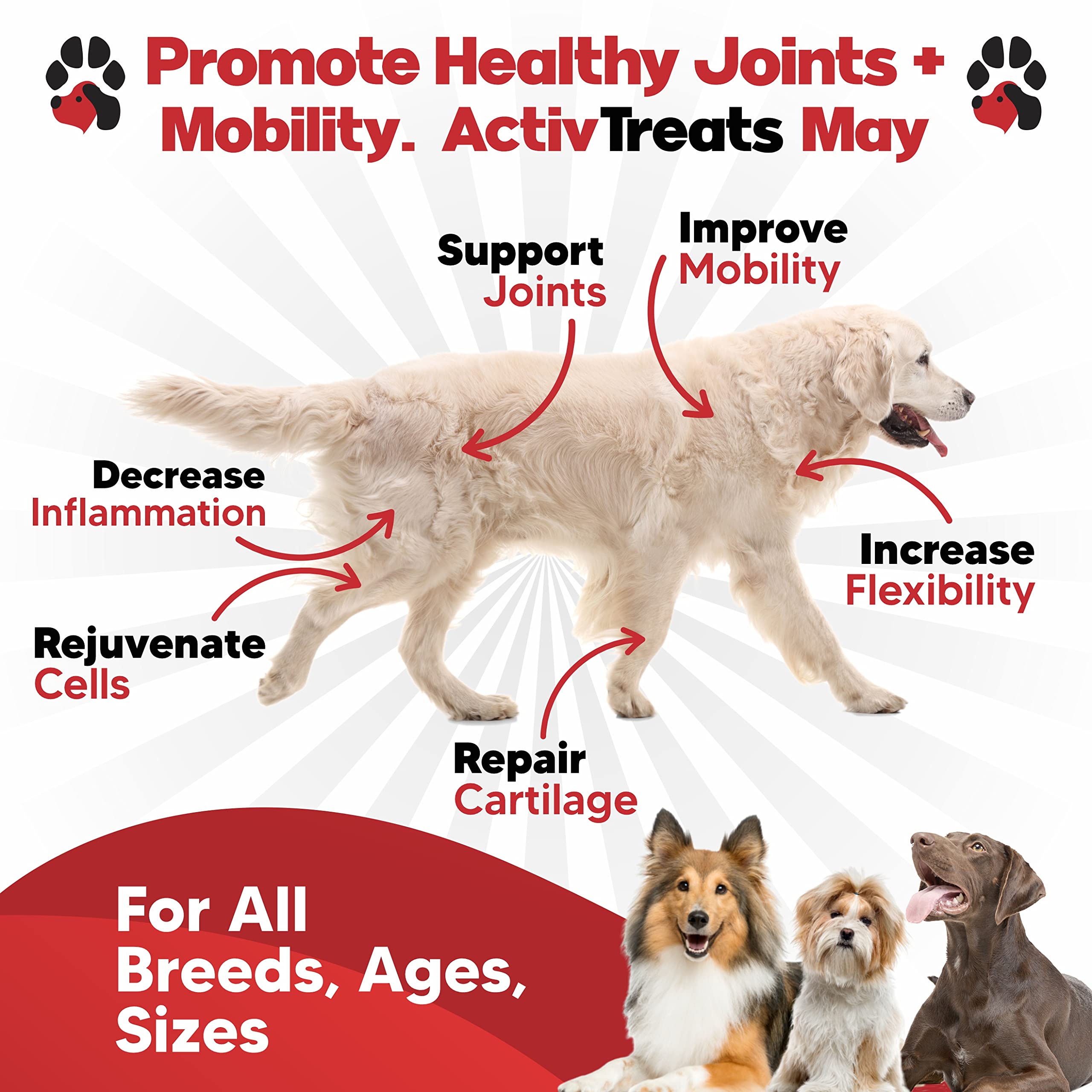 Planopaws ActivTreats ingredient list shows glucosamine, chondroitin, MSM for joints.
