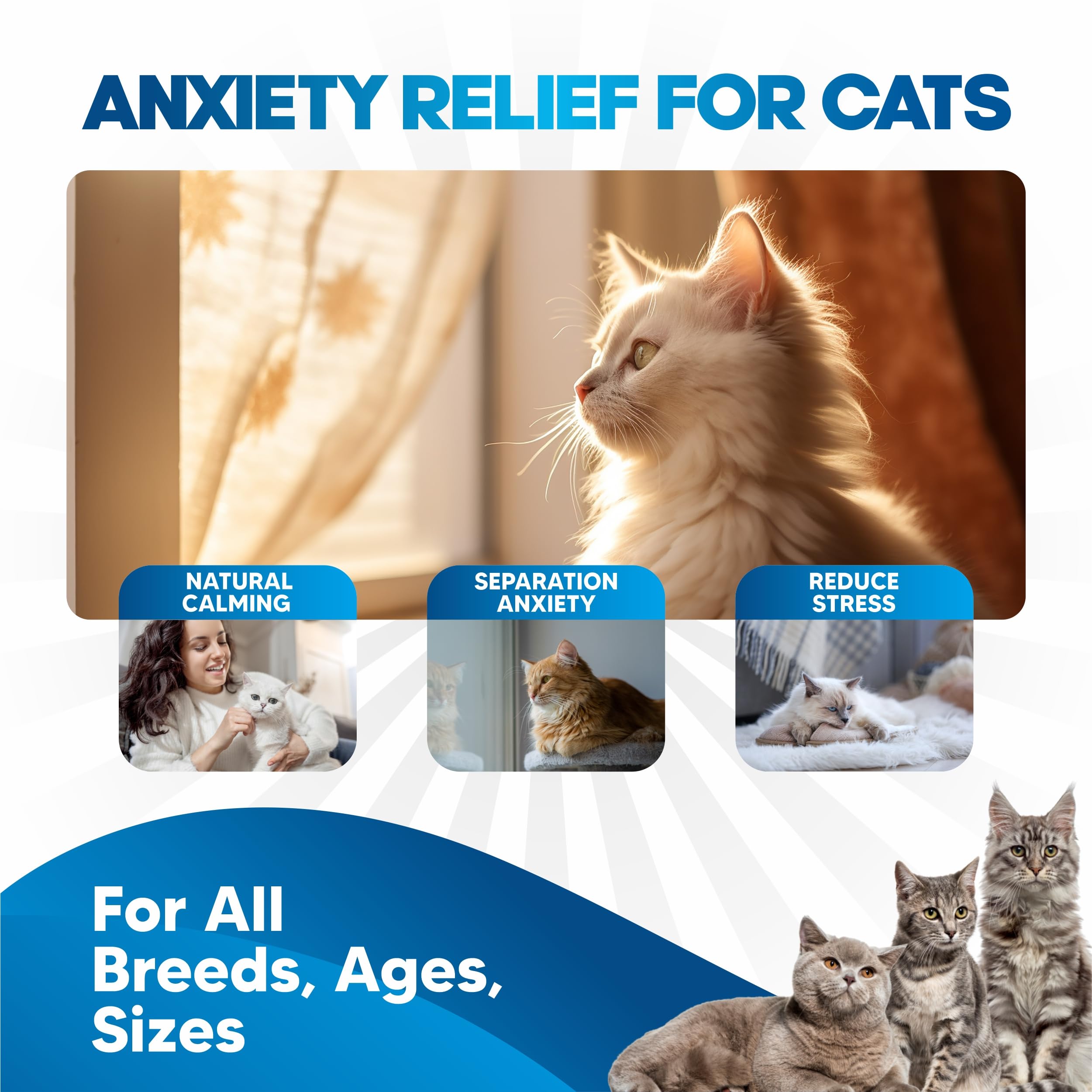 planopaws cat anxiety liquid drops dropper application for easy dosing