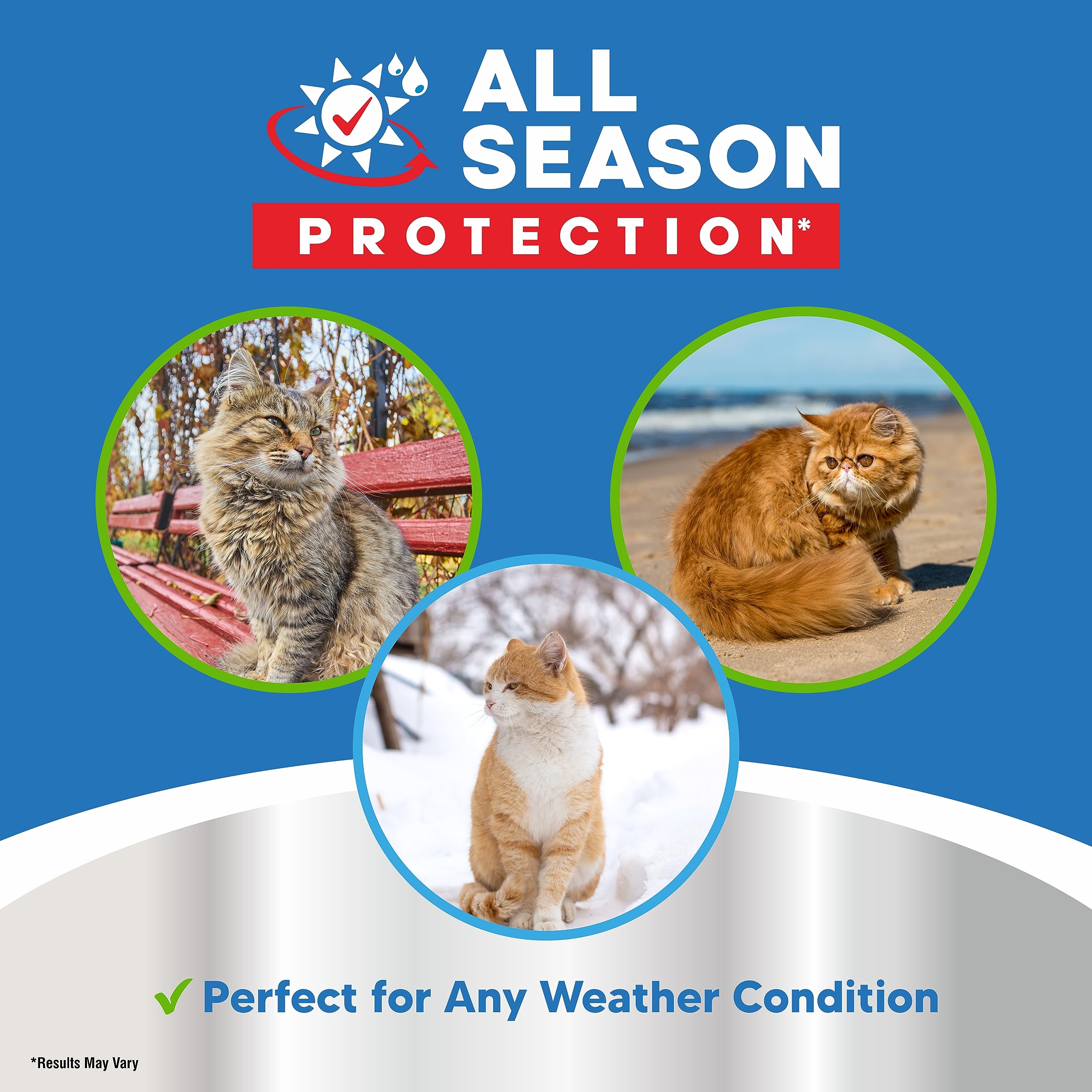 Planopaws cat paw balm protecting paws in winter conditions.