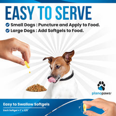 Planopaws Omega-3 dog serving on food illustrates easy meal-time integration.