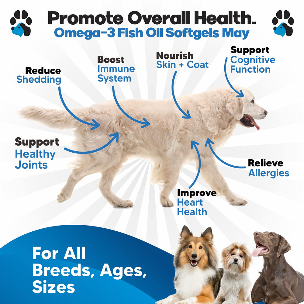 Planopaws Omega-3 dog softgel capsules ready to swallow for healthier coat.