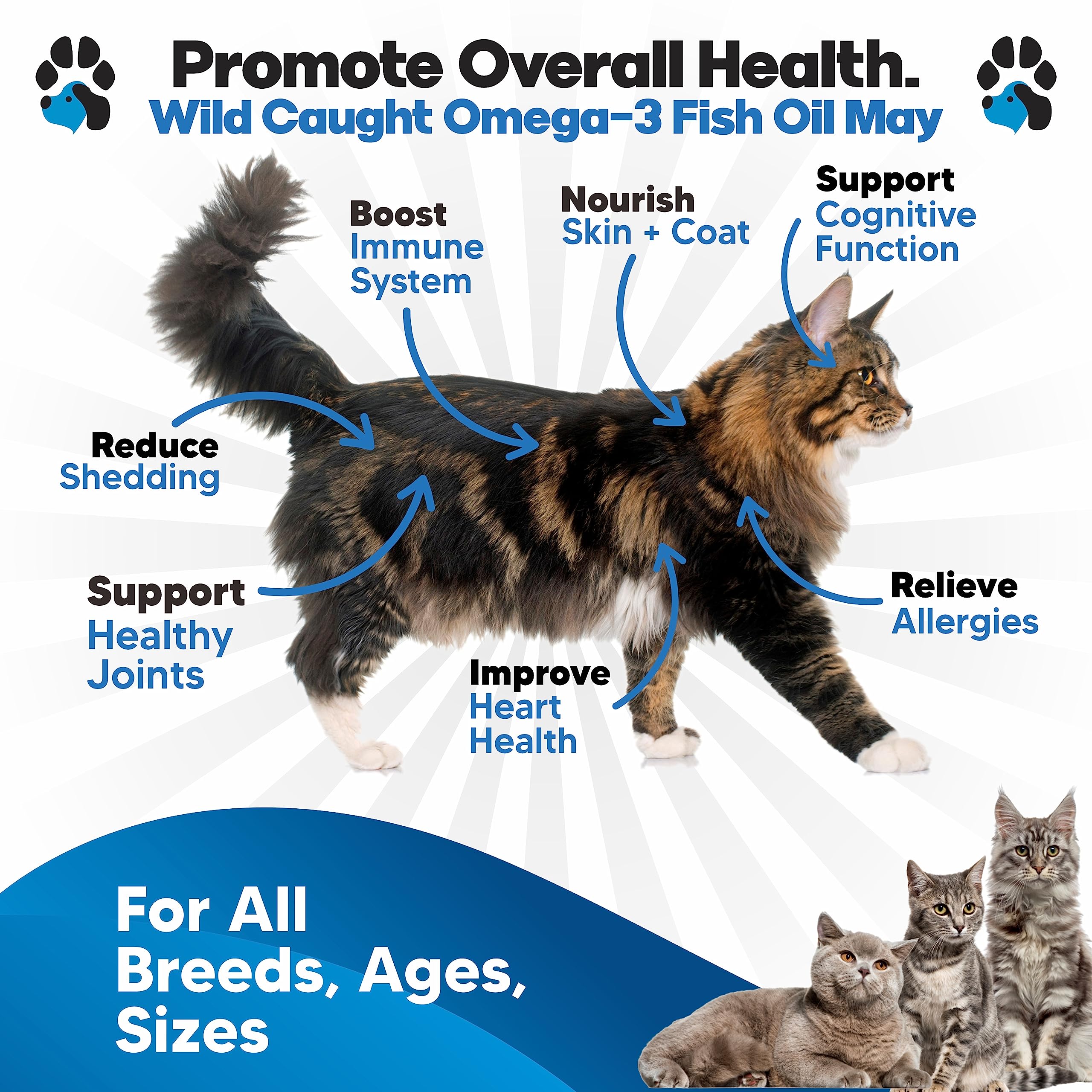 Planopaws Omega 3 for Cats bottle being poured onto food for convenient serving