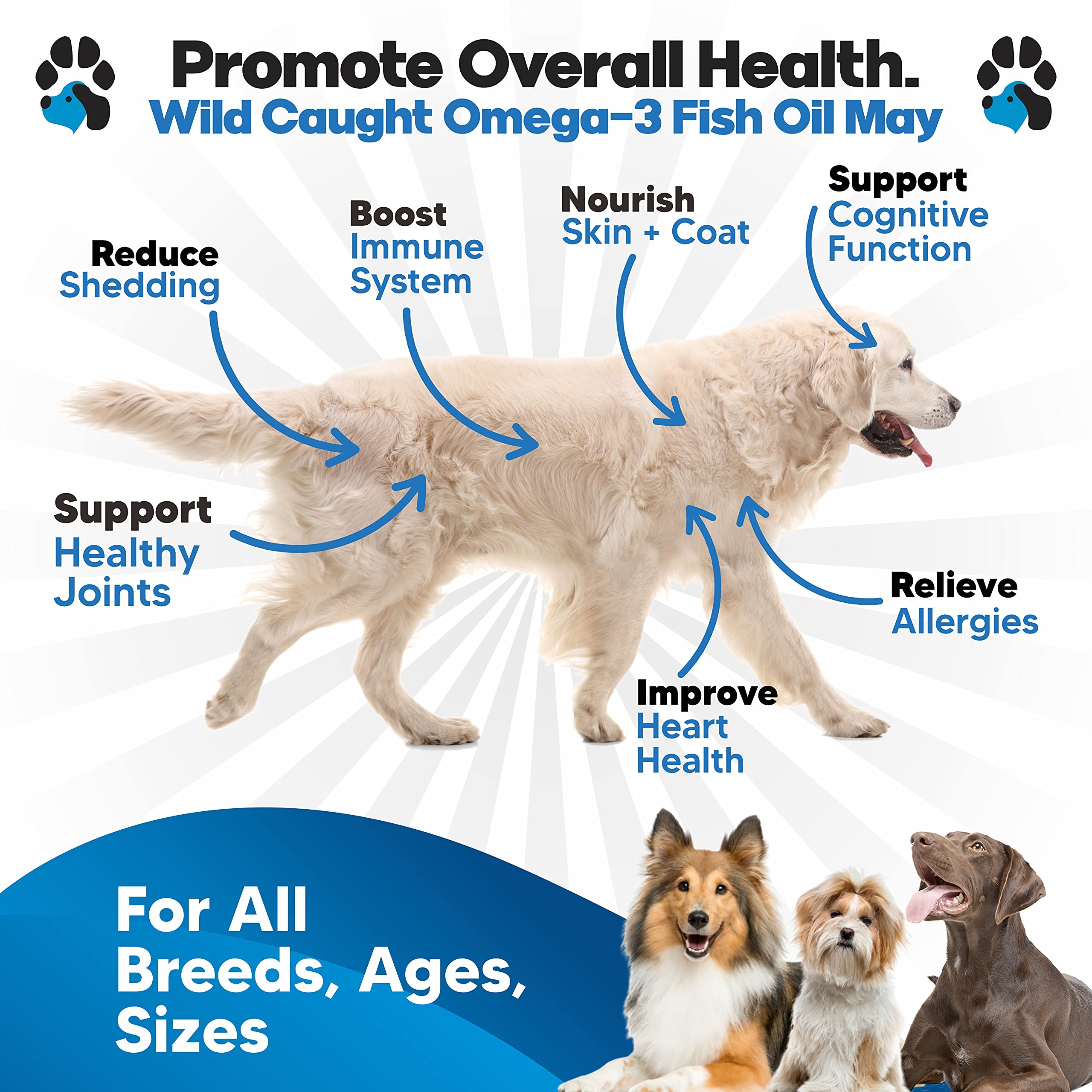 Planopaws Omega-3 Dogs pump-dispense makes feeding easy, supporting joint health.