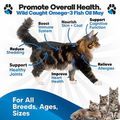 Planopaws Omega-3 pump-dispense image showing easy liquid dosing for cats.