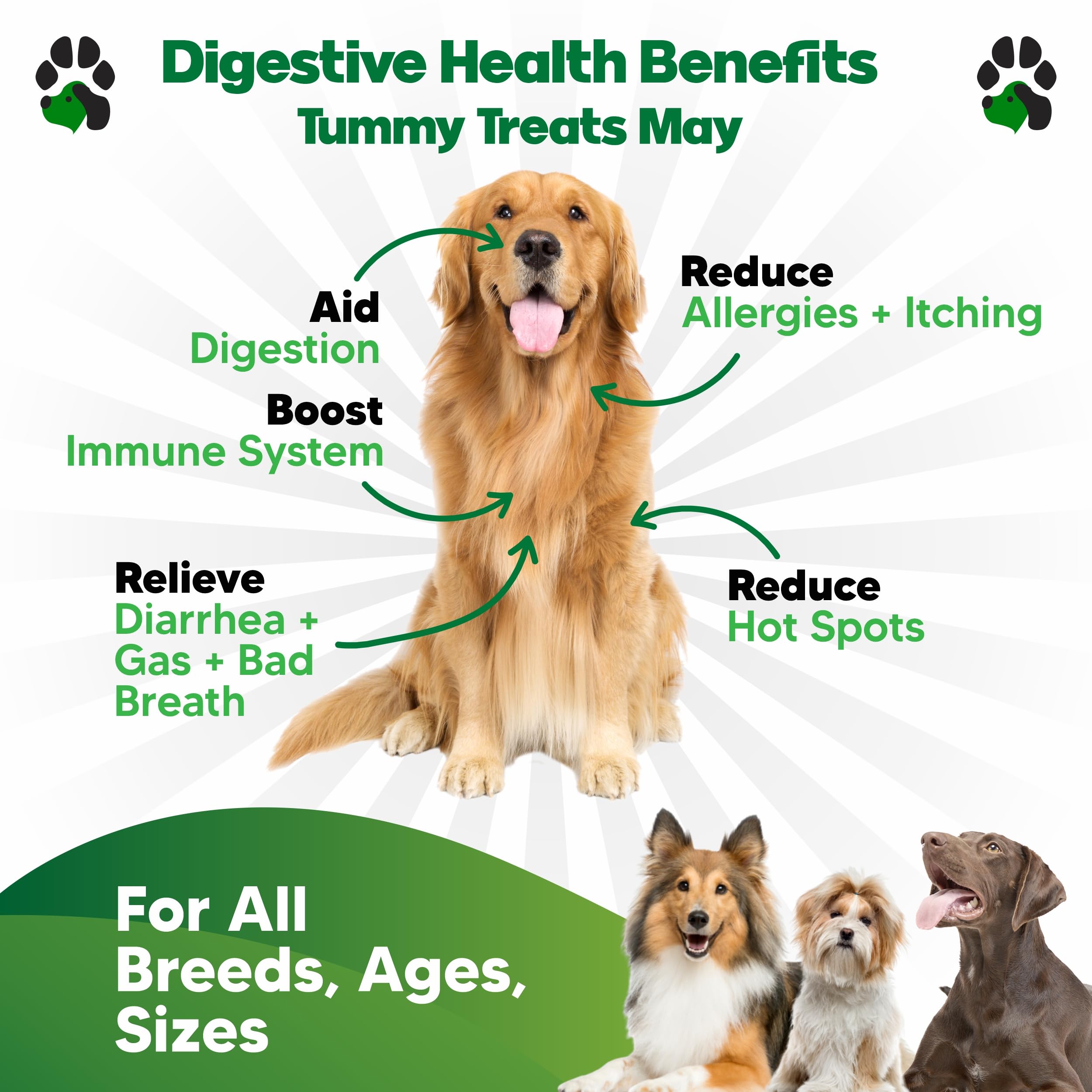Planopaws probiotics for dogs chicken-flavor soft chews close-up, a tasty treat for stomach comfort.