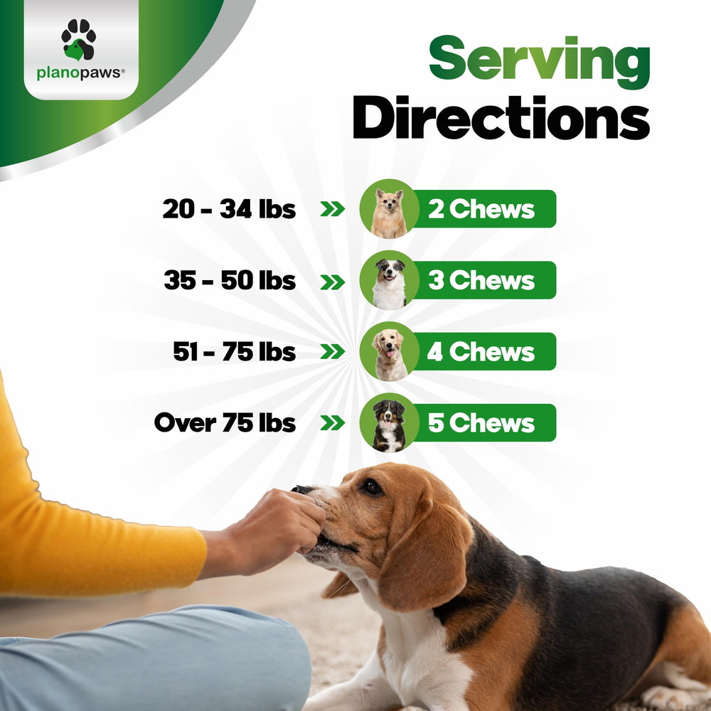 Planopaws probiotics for dogs label highlights premium, safe ingredients and enzyme-rich formula.