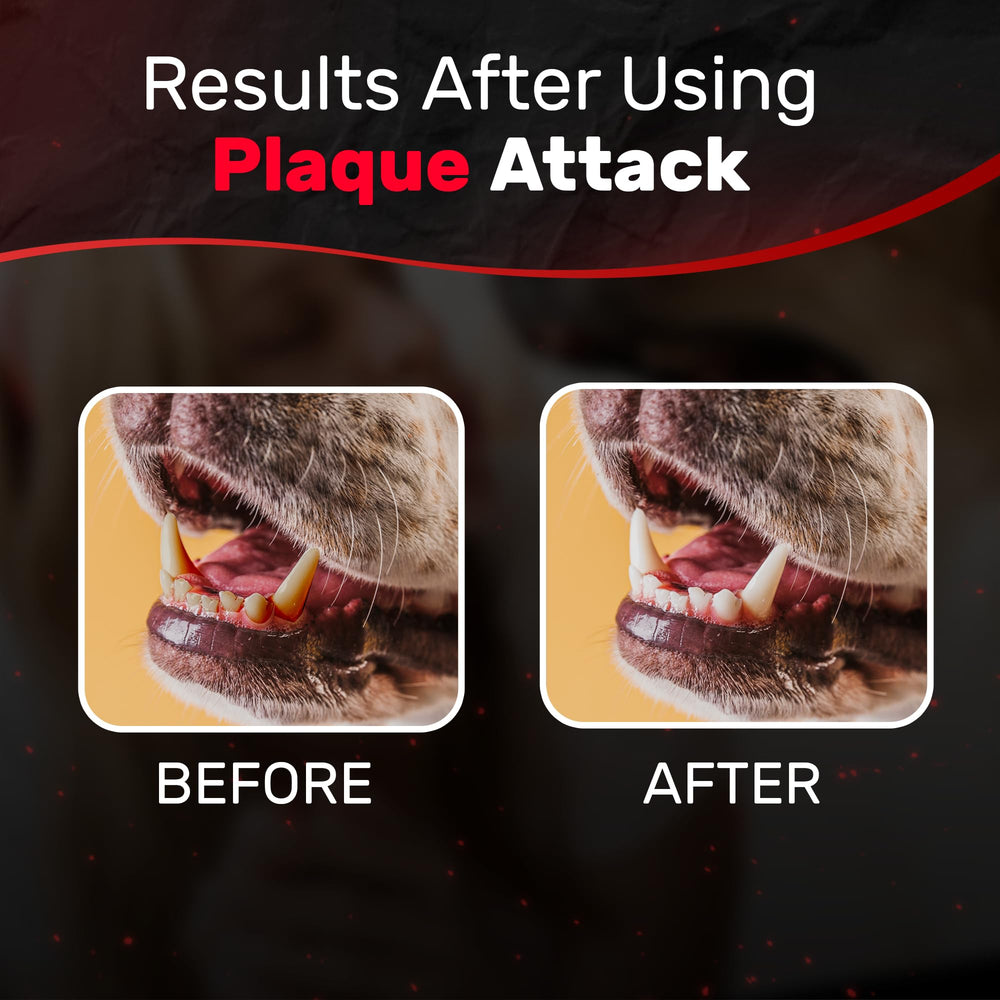 Plaque Attack 1oz bottle closeup communicates compact, travel-friendly size for on-the-go use.