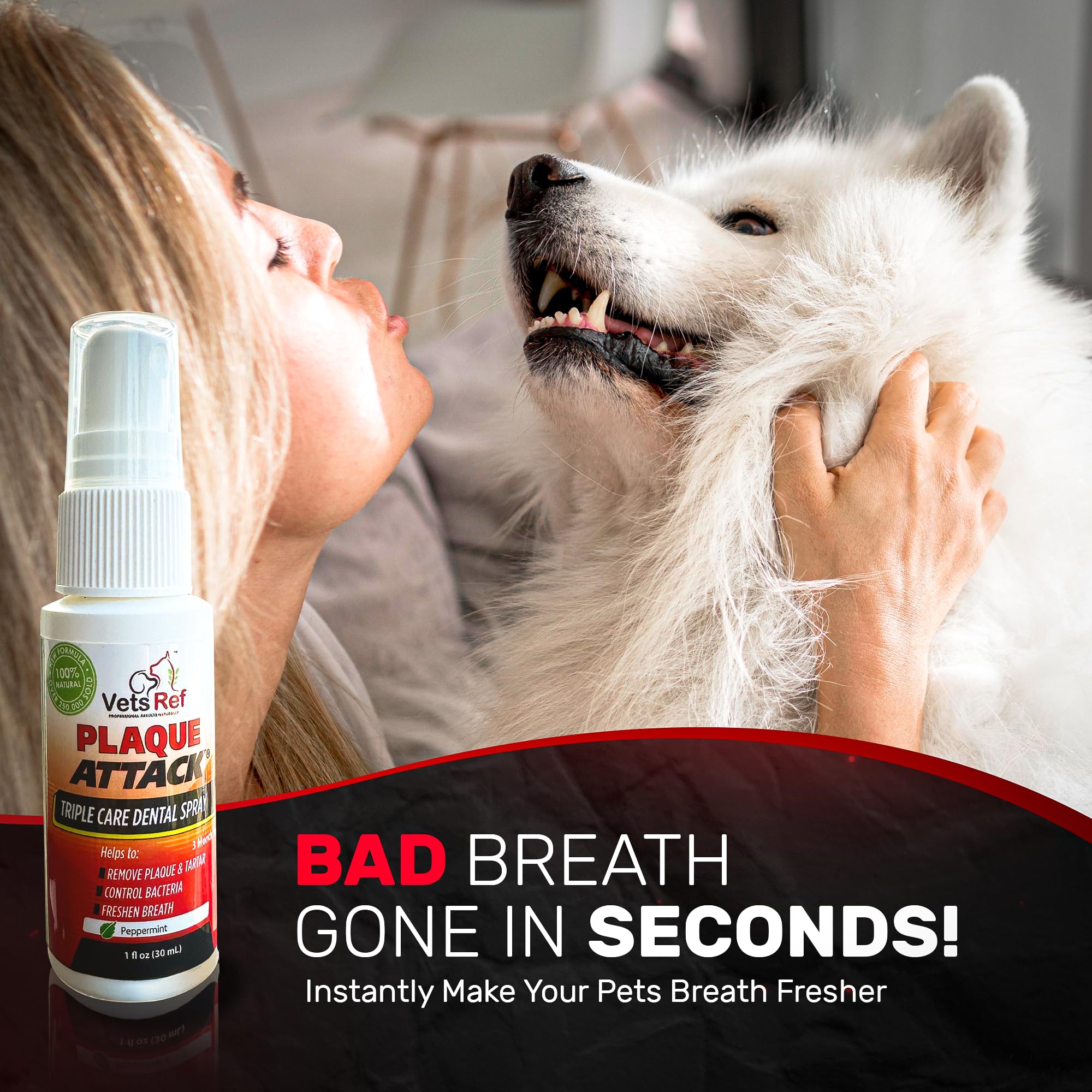 Plaque Attack cat spray close-up shows gentle formula for feline dental care.