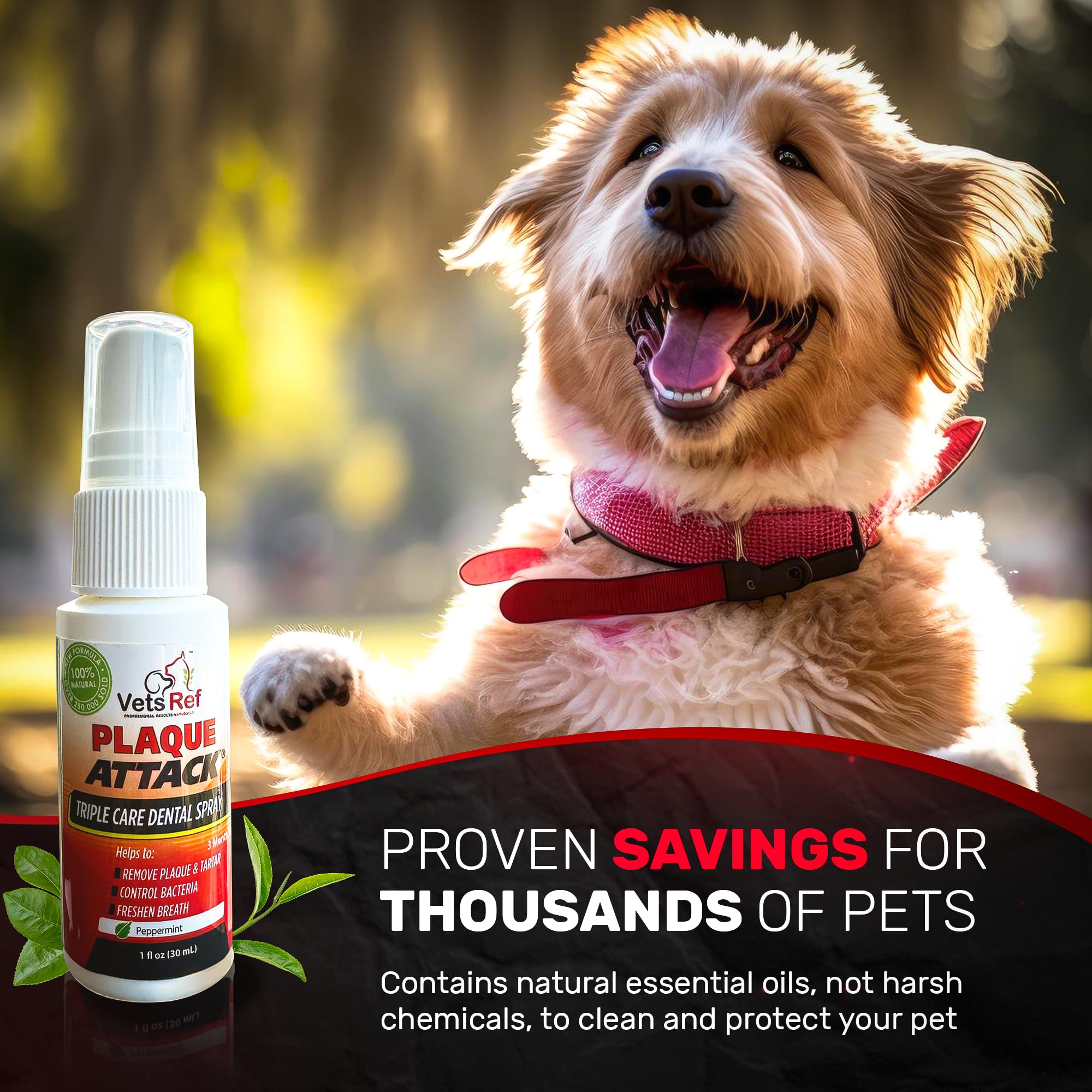Plaque Attack peppermint-scent dog spray highlights minty freshness and easy pet acceptance.