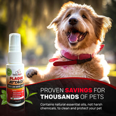 Plaque Attack peppermint-scent dog spray highlights minty freshness and easy pet acceptance.